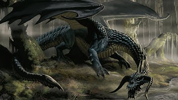 Dungeons & Dragons Lore: What are Black Dragons?