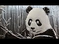 Chinese Silver Panda 30 gram 2017