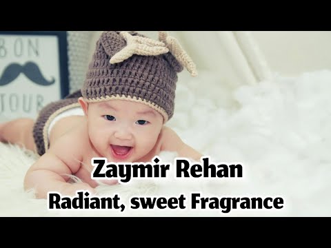 Top 50+ Muslim