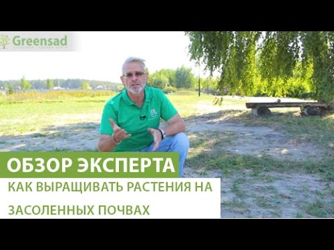 Как выращивать растения на засоленных почвах