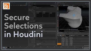 #87 Secure Selections in Houdini