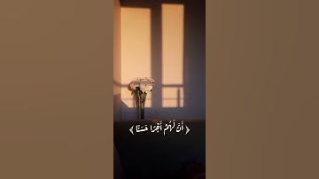 سورة الكهف 🌱حالات واتس اب قران // اية قرانية قصيرة// لراحة قلبك // ستوريات انستا #quran​​ 💚️