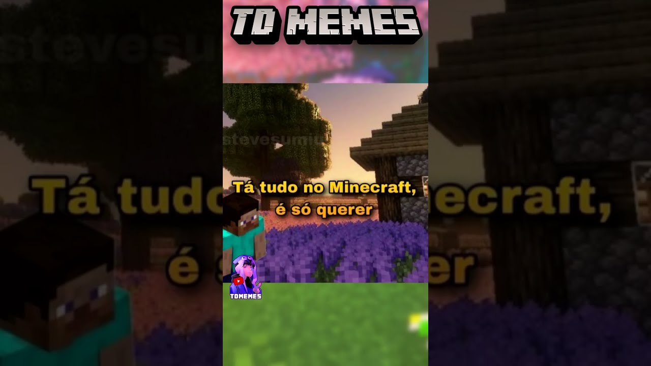 Pessoa aleatória: nossa minecraft é só um jogo quadrado não é nad relist  minecraft - iFunny Brazil