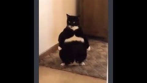 TF2 Useful Fps Commands