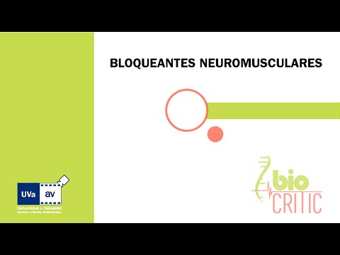 Vídeo: Diferencia Entre Bloqueadores Neuromusculares Despolarizantes Y No Despolarizantes