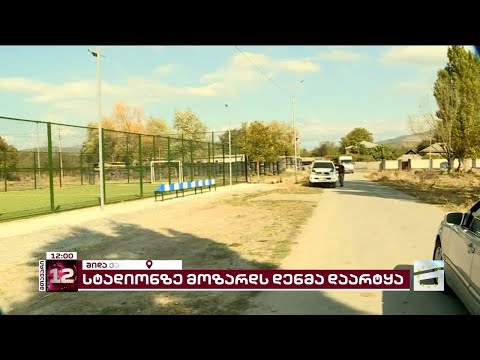 სოფელ ნიქოზში, სტადიონზე, 10 წლის ბავშვს დენმა დაარტყა