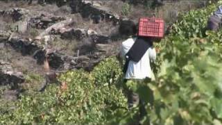 Ribeira Sacra Parte 2 (Galego)