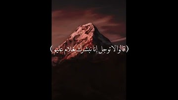 اجر لـي ولكم🍃⚖️ | سورة الحجر🧺🤍.