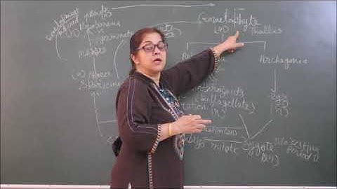 Bio-XI-3-07 Life cycle pattern,  Pradeep Kshetrapal channel