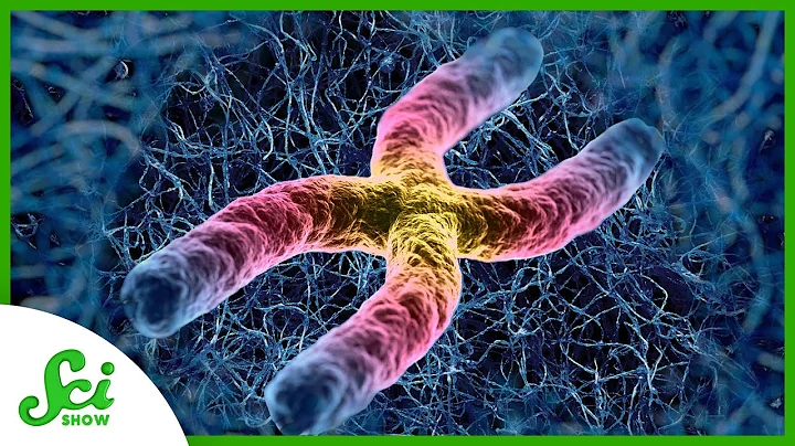 The Chromosomes Hiding in Specks of Lint