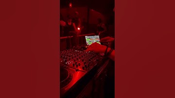 Circuit Presents: Michelle Sparks | Fluid Music Video Premiere