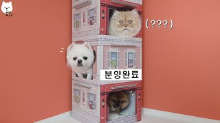 Cat tower? No. Dogs tower by 나는 아재다 I'm AJE 10,546 views 3 years ago 3 minutes, 26 seconds