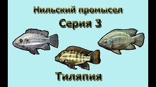 Русская Рыбалка 3.99 (Russian Fishing) Нильский промысел 3 - Тиляпия