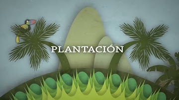 Ruben Blades & Willie Colon - Plantacion Adentro (Letras/Lyrics)