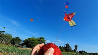 เเข่งว่าวจุฬาก้านมะพร้าว ตัวใหม่ล่าสุด จะชนะหรือไม่มาดูกันเลย Kiteflying