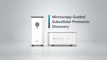 Syncell Microscoop Technology Workflow