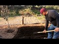 delicioso caldo de pollo de rancho y siembra de legumbres