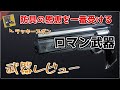 [Destiny2]バグでお仕置きさせてた武器とラッキーズボンの組み合わせれば強いんじゃんね????｜武器レビュー