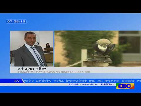 ቪዲዮ: ከሳይቤሪያ ድመት ጋር እንዴት መጫወት