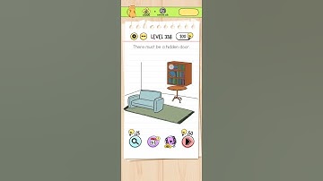 Brain Test level 338 Correct Answer