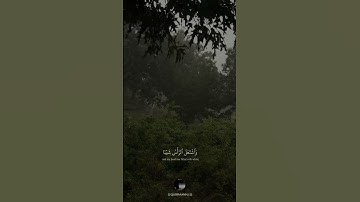 {إِذۡ نَادَىٰ رَبَّهُۥ نِدَآءً خَفِيّٗا} || بصوت القارئ شريف مصطفى || سورة مريم || اجمل حالات قرآن