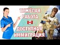 Работа в Канаде для нянь, сиделок (caregiver), рабочих ЖКХ и иммиграция в Канаду с трудоустройством