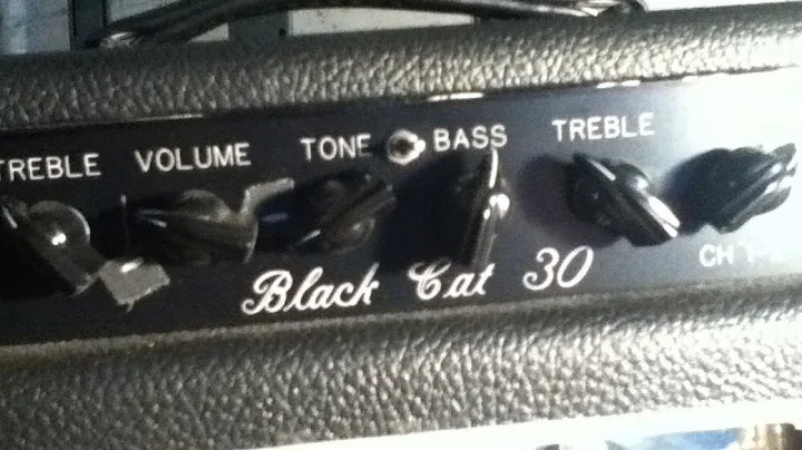 Badcat Black Cat 30 & 30r speaker phase switch explained