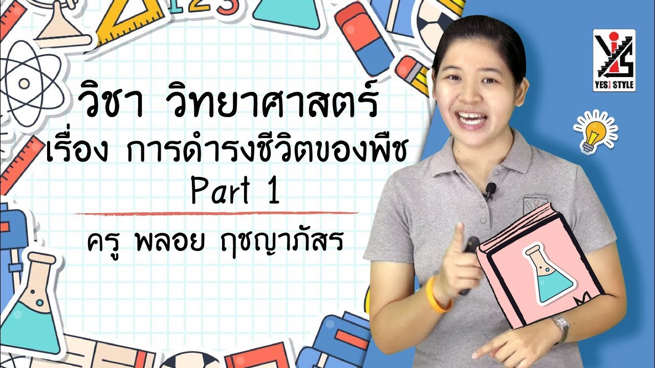 วิทยาศาสตร์ ป.2 ตอนที่ 1  การดำรงชีวิตของพืช Part1 – Yes iStyle | ข้อมูลรายละเอียดมากที่สุดเกี่ยวกับข้อสอบ การ ดำรง ชีวิต ของ พืช