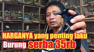 Harga burung asal laku yang Penting balik modal, Serba 35rb di pasar Pramuka.