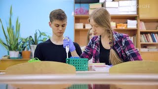 Как учатся в ФМШ НГУ? Как учатся в ФМШ НГУ?