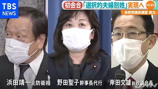 選択的夫婦別姓 自民に“推進”議連