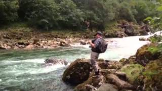 Vestlandet, Salmonfishing