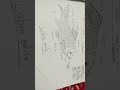 ✨✨Practical file fresh water fish : Labeo rohita, Catla catla 🐟🐟