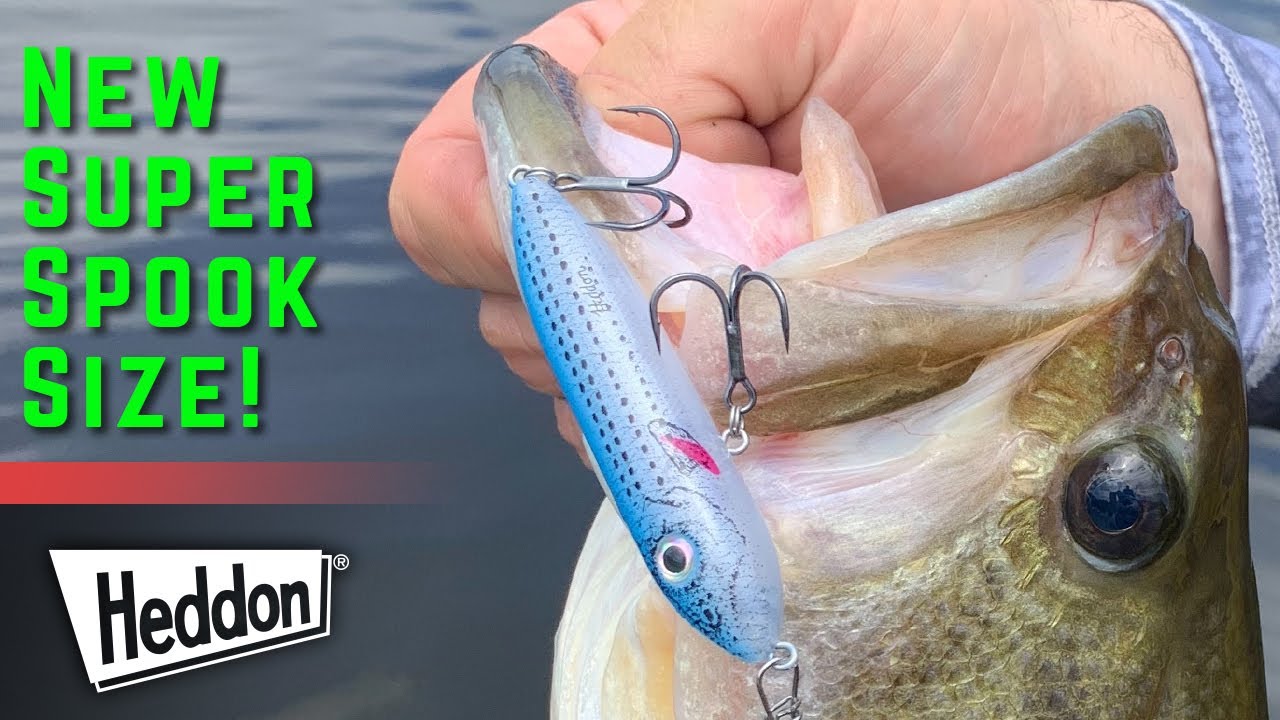 NEW Product Reveal - The Heddon Super Spook Boyo 