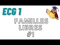 Espaces vectoriels  cours 8  familles libres 1