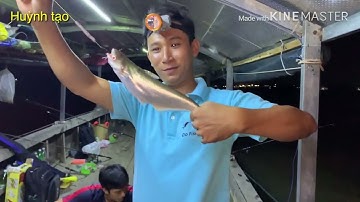 Câu cá dứa chân cầu rạch miễu