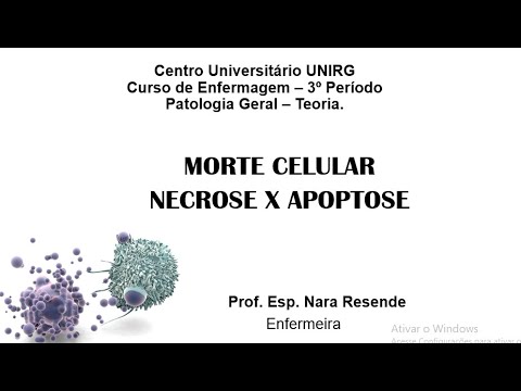 Vídeo: Por que o Ocidente está condenado. Opinião do engenheiro. Parte 2