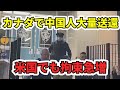 カナダで中国人留学生が大量送還　米国でも拘束急増