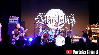 "Rising Force" Yngwie Malmsteen [Cover by Mardelas]【Live 2023】