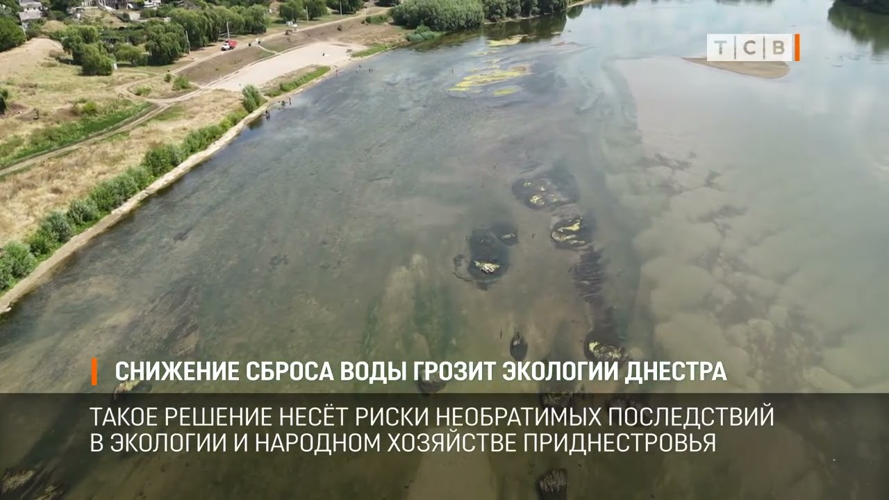 Снижение сброса воды грозит экологии Днестра — Transcript