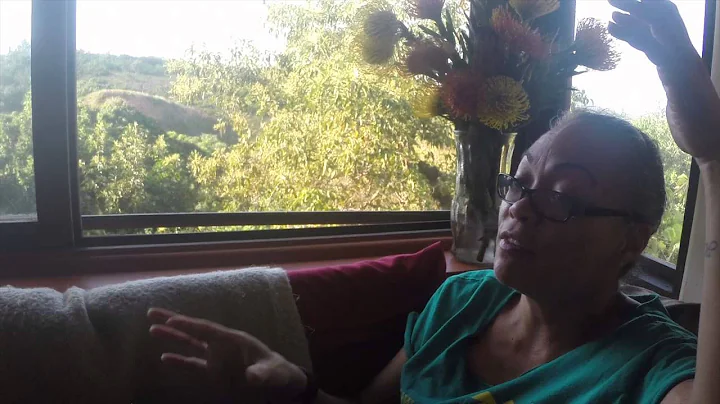 Trinette Furtado on the Hawai'ian Immersion School...
