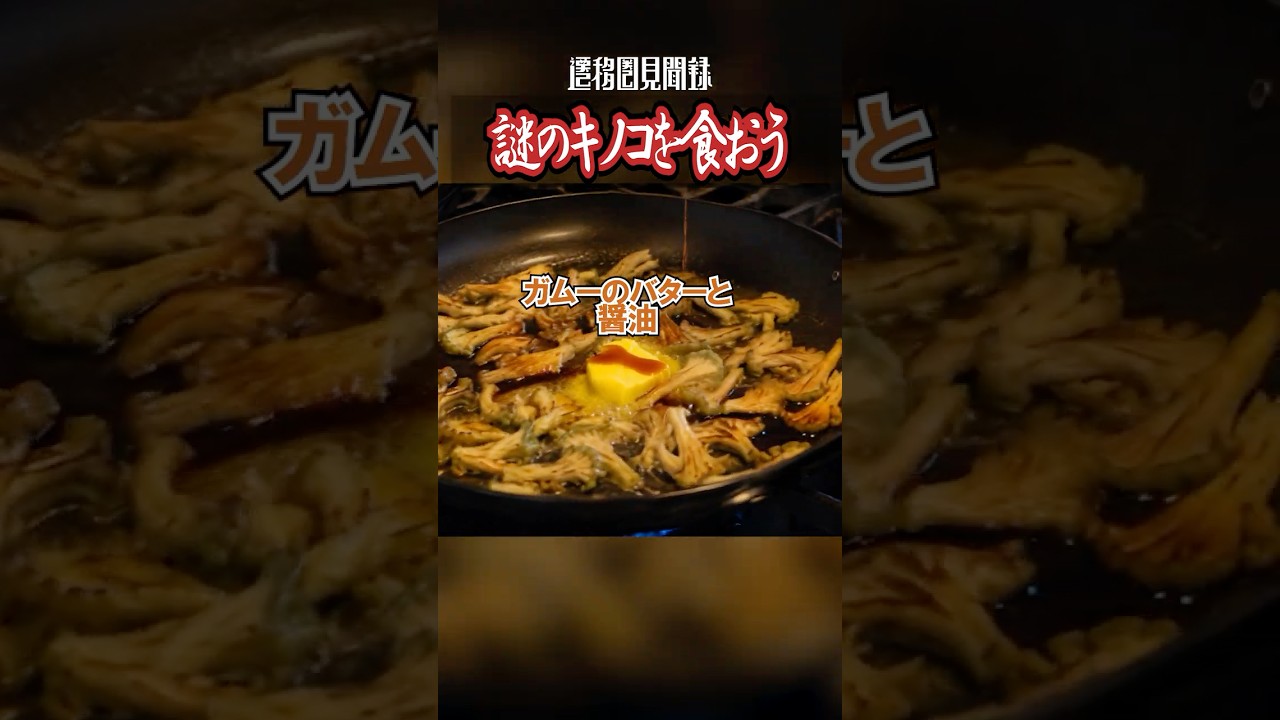 謎のキノコを食おう! #shorts #cooking #料理 #異世界 #遷移圏