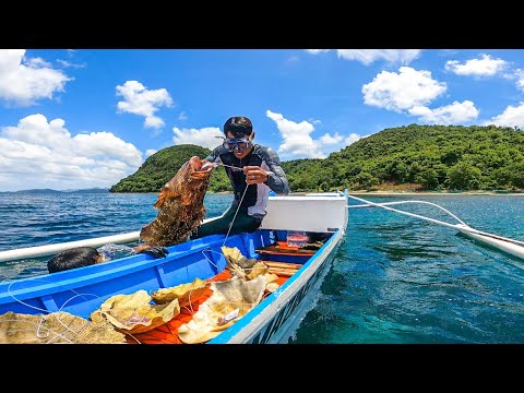 Video: Aling Aquarium Ang Bibilhin: Sariwa O Pang-dagat