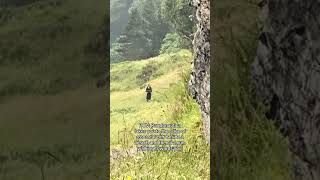 Download Lagu Randonautica is SCARY MP3 Download Lagu Randonautica is SCARY MP3