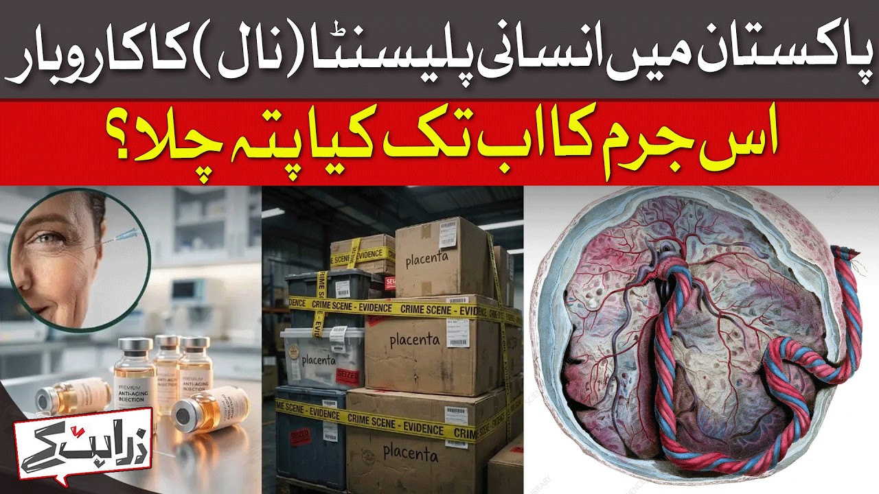 Human Placenta Trade In Pakistan: Crime Details Uncovered