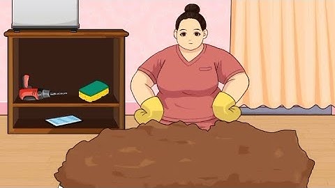 Brainy Escape Quest – Level 4 Walkthrough | Puzzle Gameplay