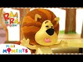 We Love To Laugh Raa Raa The Noisy Lion Full Episodes Mini Moments We Love To Laugh Raa Raa The Noisy Lion Full Episodes Mini Moments