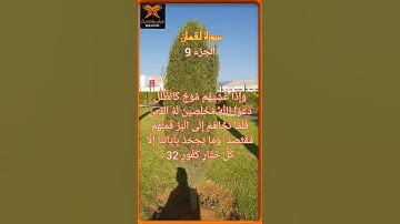 اللهم اِجعل القرآن الكريم ربيع قلوبنا ونور صدورنا و ذهاب أحزاننا 🤲#القرآن_الكريم #المصحف #اكسبلور