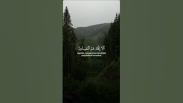 #قران_كريم #راحة_نفسية #تلاوة_خاشعة #اكسبلور_explore