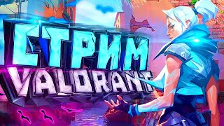 Тупо Мочим || Путь до Платины || Valorant